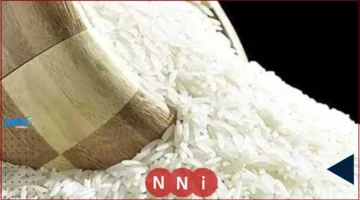 منتدى الأرز.. مصر تجهز لاستقبال أكبر تجمع أفريقي لزراعة الأرز الأسبوع القادم